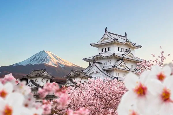 Japón con Monte Fuji & Fin en Kioto